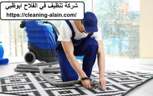 شركة تنظيف في الفلاح ابوظبي