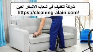 شركة تنظيف في شعاب الاشخر العين