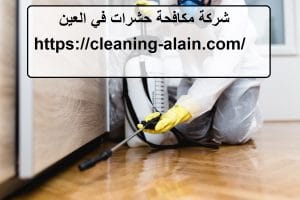 شركة مكافحة حشرات في العين